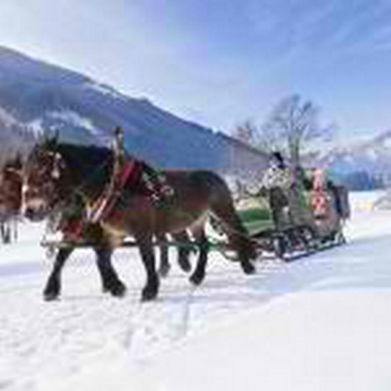 Apartment Landhaus Tirol *