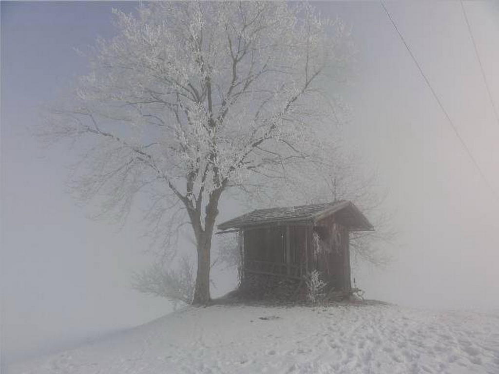 Landhaus Tirol