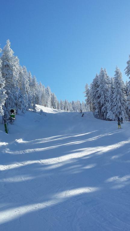Tirol Apartament Zellberg