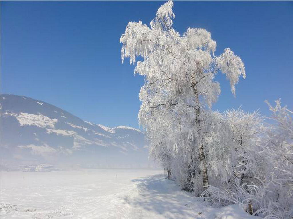 Apartament Tirol *