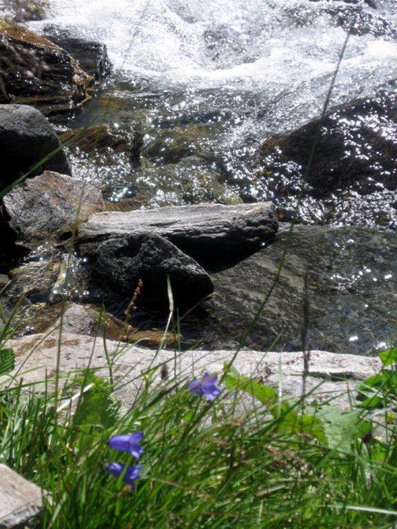Tirol