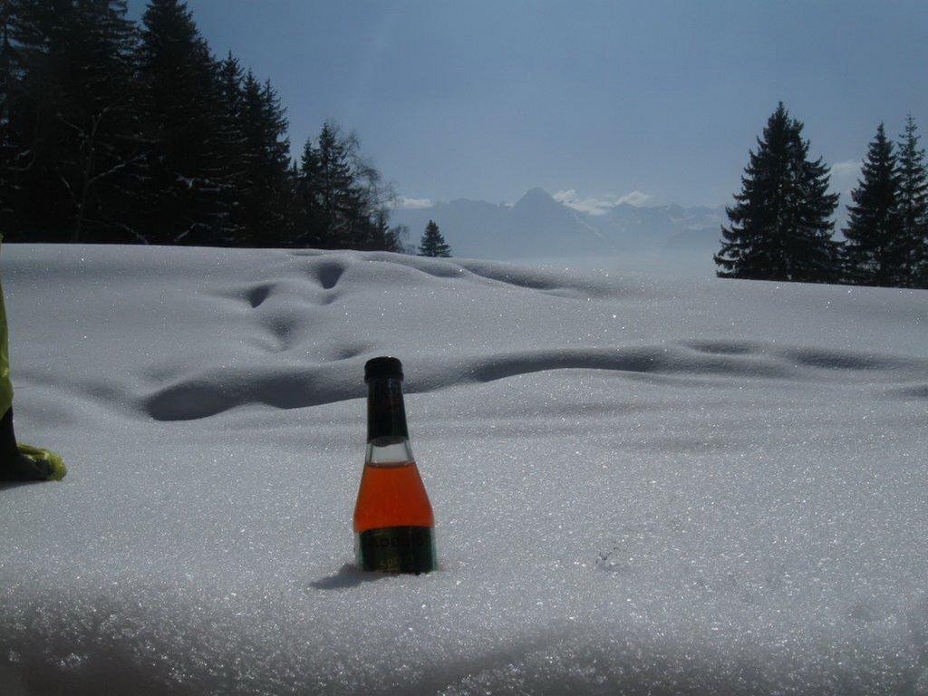 Apartament Tirol Zellberg